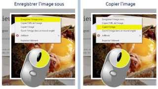 Copier une image sur internet [upl. by Gerlac]