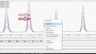 LabSolutions LCGC Workstation Basic Data Analysis [upl. by Atinnor]