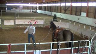 Horse Training  Restarting an Older Horse [upl. by Malti]