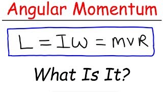 What Is Angular Momentum [upl. by Schell]