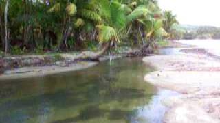 Tropical Beach  Naguabo [upl. by Cirdec379]