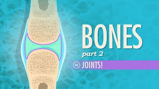 Joints Crash Course Anatomy amp Physiology 20 [upl. by Matthieu794]