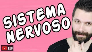 SISTEMA NERVOSO  FISIOLOGIA  Aula  Biologia com Samuel Cunha [upl. by Fusuy]