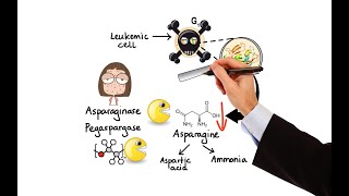 Pharmacology  Chemotherapy agents MOA Alkalating antimetabolites topoisomerase antimitotic [upl. by Ahtelat]