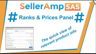 SAS Panel Guide  Sales Rank amp Prices 2020 [upl. by Adihaj]