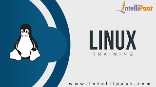 Configuring Apache Server in Red Hat Linux  Linux Tutorials  Intellipaat [upl. by Norvell533]