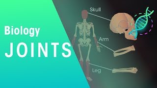 Joints  Physiology  Biology  FuseSchool [upl. by Relyhs39]