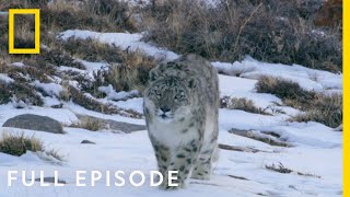 Mountains Full Episode  Hostile Planet [upl. by Mei]