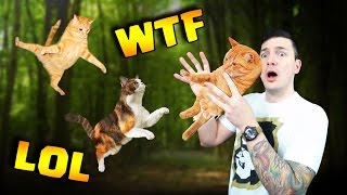 CATS ATTACK NICK • HILARIOUS BOWMASTERS GAMEPLAY [upl. by Etnad]