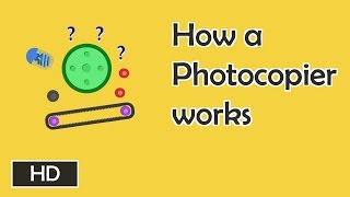 How photocopiers work [upl. by Kraft]