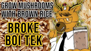 EASIEST Way to Grow Mushrooms  Broke Boi Tek [upl. by Iahs971]