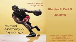 Anatomy amp Physiology Chapter 8 Lecture Part B  Joints [upl. by Etan]