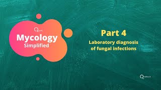 Mycology fungi tutorials Part 4 Laboratory diagnosis of fungal infections [upl. by Hirz]