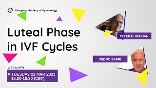 Luteal Phase in IVF Cycles [upl. by Alexina]