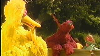 Opening to Sesame Streets 25th Birthday A Musical Celebration 1993 VHS [upl. by Bannasch727]