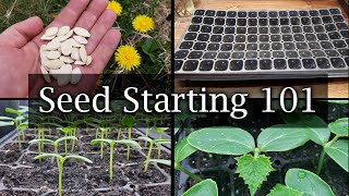 How To Start Vegetable Seeds  The Definitive Guide For Beginners [upl. by Asiar]