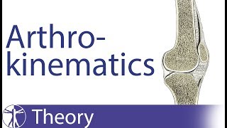 Arthrokinematics Roll Glide Spin Traction amp Compression [upl. by Ticon408]