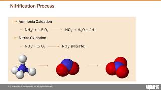 Unlock Nitrification amp Remove Ammonia [upl. by Etta]