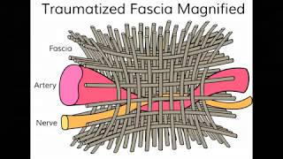 Passive Stretches  Student Life  Associated Bodywork amp Massage Professionals [upl. by Tiebout]