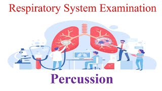 Respiratory System Examination  Percussion [upl. by Kosel640]