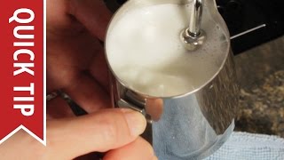 How to AutoFroth Milk for Lattes [upl. by Anaira156]