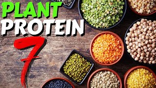 Top 7 Sources of Plant Protein [upl. by Costa]