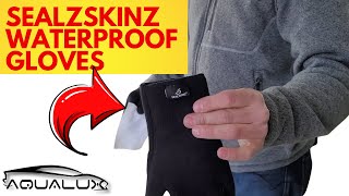 Seal Skinz Waterproof Gloves  Best Waterproof Gloves For Auto Detailing In 2021 [upl. by Bertold734]