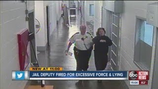 Pinellas County jail deputy fired for slapping inmate and lying about it [upl. by Asirrom383]