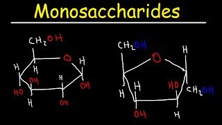 Monosaccharides  Glucose Fructose Galactose amp Ribose  Carbohydrates [upl. by Clorinde108]