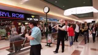 Flashmob symphonique  Centre commercial Auchan Noyelles [upl. by Atnwahs838]