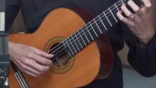 Classical Guitar Lesson 1 [upl. by Dnartreb]