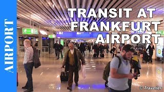 TRANSIT WALK AT FRANKFURT Airport FRA Terminal 1  Connection Flight Transfer Arriving amp Departing [upl. by Cobbie572]