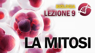 BIOLOGIA  Lezione 9  La Mitosi [upl. by Nnaid]