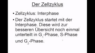 Zellzyklus aus Interphase und Mitose [upl. by Amorita]